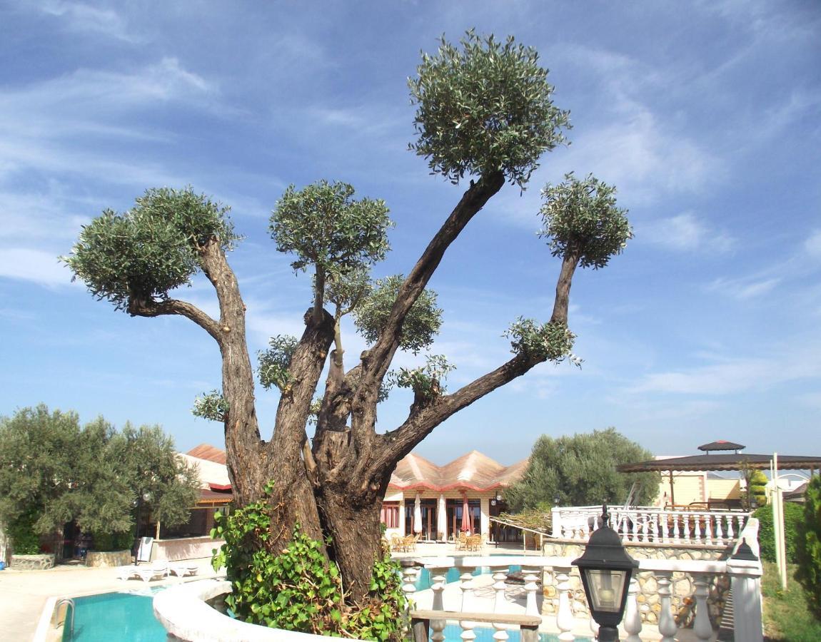 Alize Resort Hotel Yenifoca Exterior foto